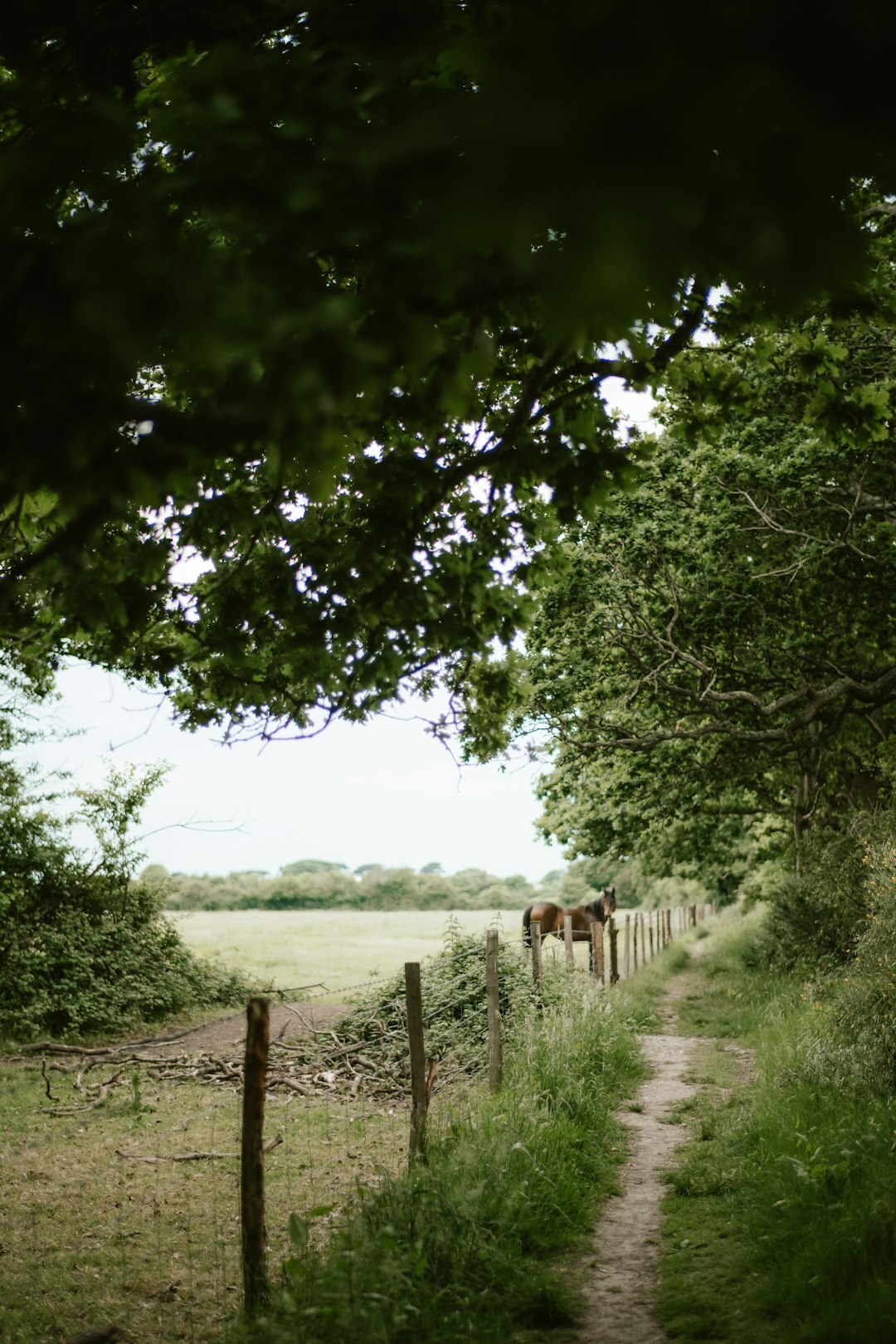 retirees exploring countryside